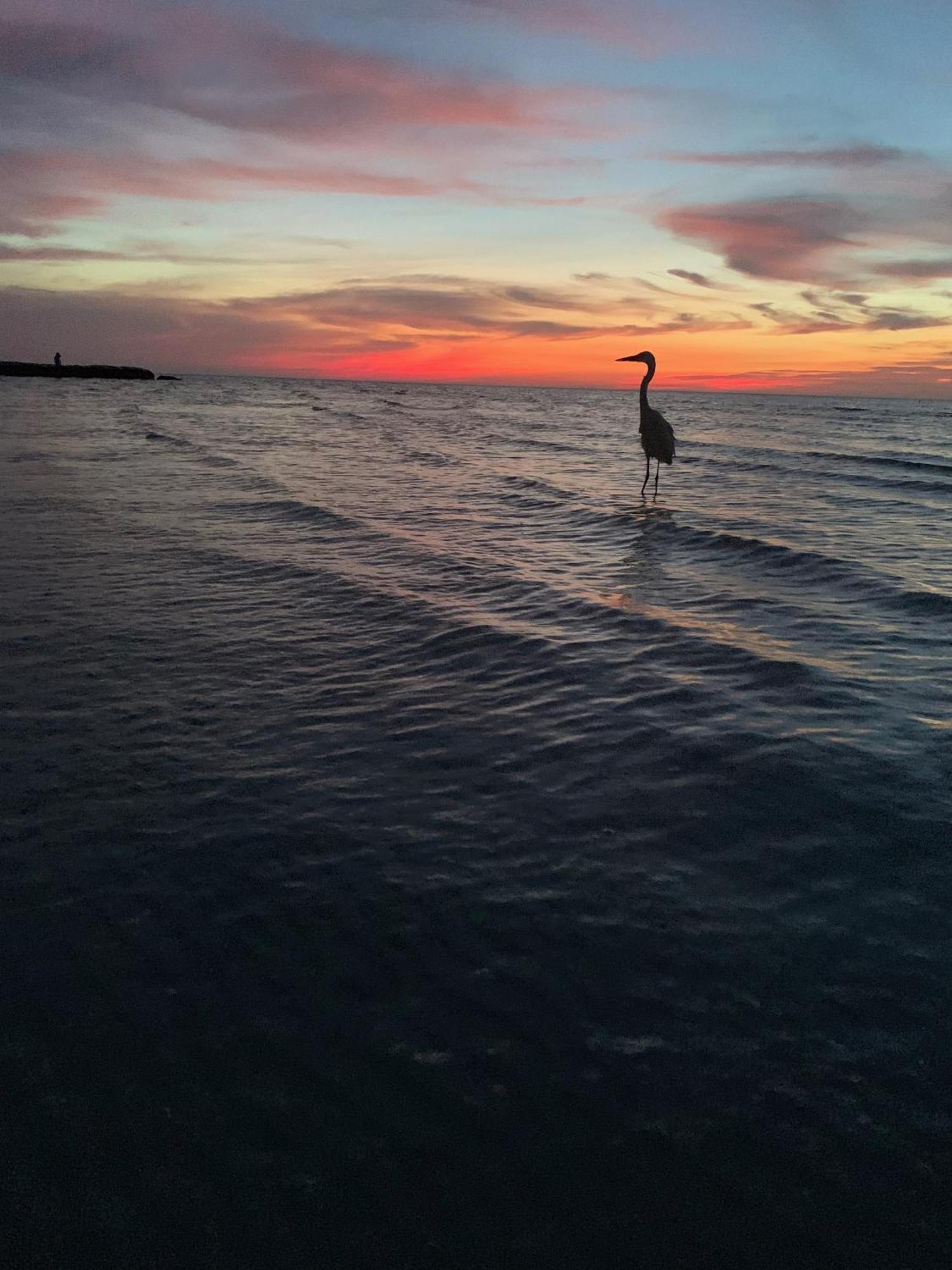 Casa Noma-Noma Holbox Bed & Breakfast Bagian luar foto